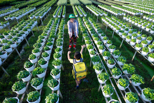 PVCFC ra mắt báo cáo Phát triển bền vững 2024: Bước tiến đột phá trong chuẩn mực quốc tế và mục tiêu Net zero 