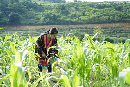 Hỗ trợ đa chiều, giảm nghèo bền vững Hỗ trợ đa chiều, giảm nghèo bền vững