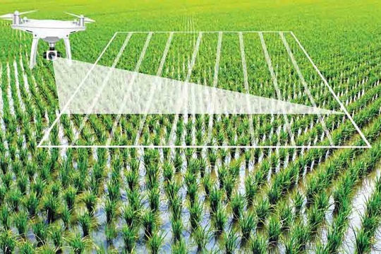 Ninh Bình: Đẩy mạnh chuyển đổi số để phát triển nông nghiệp bền vững Ninh Bình: Đẩy mạnh chuyển đổi số để phát triển nông nghiệp bền vững