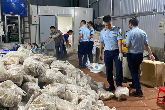 Hà Nội tiếp tục tạm giữ gần 11 tấn thịt và nội tạng bò đông lạnh không rõ nguồn gốc 