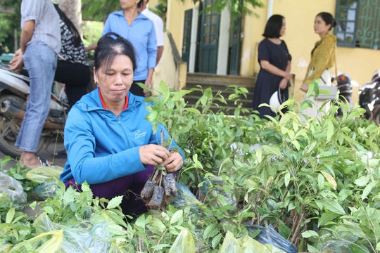 Khơi dậy ý chí, hỗ trợ người dân vươn lên thoát nghèo Khơi dậy ý chí, hỗ trợ người dân vươn lên thoát nghèo