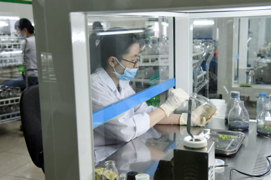 Bất cập trong quy định là “nút thắt” dẫn đến lãng phí nguồn lực