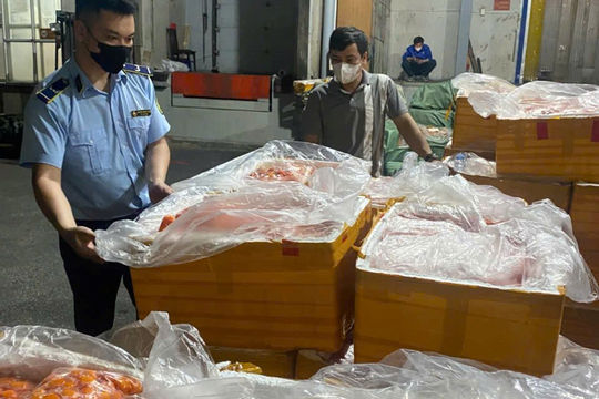 Hà Nội: “Chặn đứng” hơn 7 tấn nội tạng động vật không rõ nguồn gốc chuẩn bị tuồn ra thị trường 