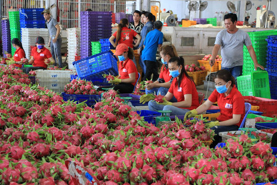 Khoa học, công nghệ và chuyển đổi số: Đột phá chiến lược của Bình Thuận Khoa học, công nghệ và chuyển đổi số: Đột phá chiến lược của Bình Thuận