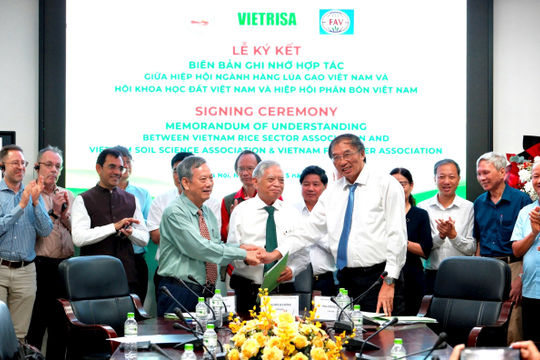 Hợp tác phát triển bền vững ngành sản xuất lúa gạo Việt Nam Hợp tác phát triển bền vững ngành sản xuất lúa gạo Việt Nam