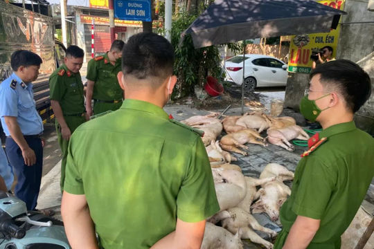 Quản lý thị trường Vĩnh Phúc ra quân tiêu hủy thực phẩm bẩn 