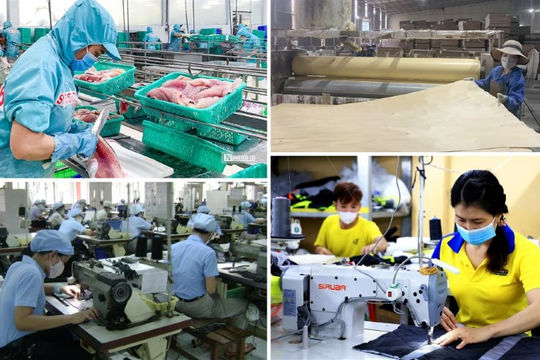 Quyết liệt triển khai các nhiệm vụ về phát triển kinh tế tư nhân