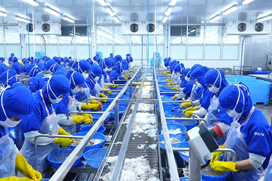 Đà Nẵng: Chỉ số sản xuất công nghiệp tăng 11,7%