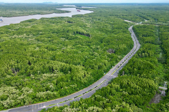 Để tín chỉ carbon là tài sản đảm bảo hợp pháp