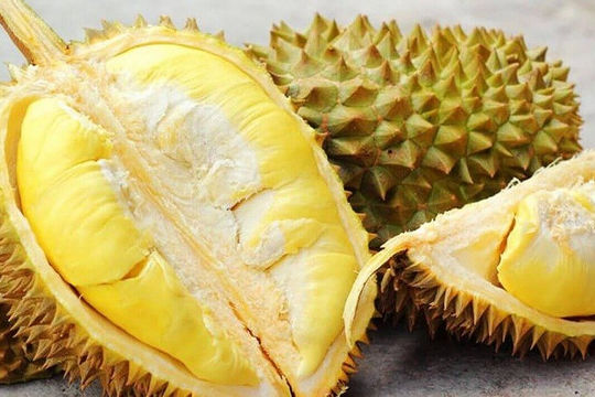 Thúc đẩy sản xuất và xuất khẩu sầu riêng bền vững