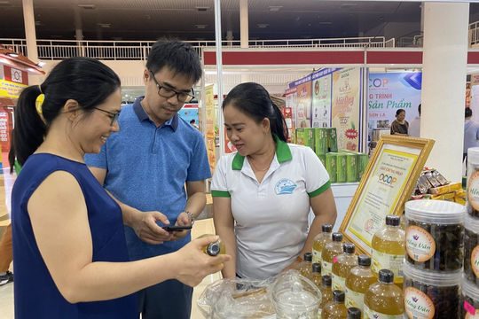 Quảng Nam - Vùng đất mở cho đổi mới, khởi nghiệp sáng tạo