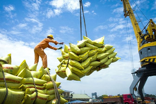Gỡ khó cho doanh nghiệp xuất khẩu gạo Gỡ khó cho doanh nghiệp xuất khẩu gạo