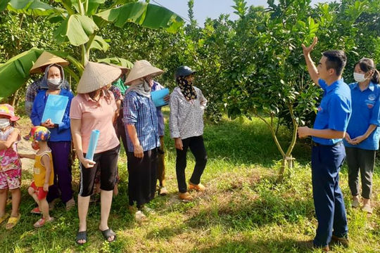 Bắc Giang: Đẩy mạnh thực hiện công tác giảm nghèo bền vững để hoàn thành mục tiêu năm 2025 Bắc Giang: Đẩy mạnh thực hiện công tác giảm nghèo bền vững để hoàn thành mục tiêu năm 2025