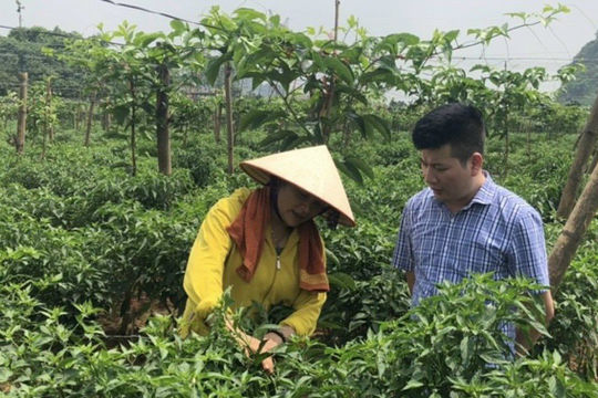 Đẩy nhanh tiến độ thực hiện các Chương trình mục tiêu quốc gia năm 2025