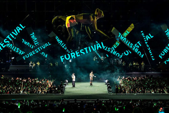 Forestival 2025 - Nơi Tràng An tỏa sáng Forestival 2025 - Nơi Tràng An tỏa sáng