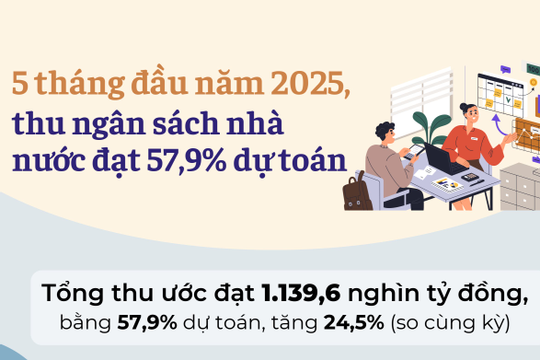 Infographics: Thu ngân sách nhà nước 5 tháng đầu năm ước đạt 1.139,6 nghìn tỷ đồng