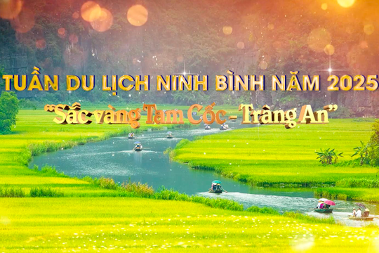 Mùa vàng Tam Cốc – Bản giao hưởng sắc màu giữa trời đất Ninh Bình