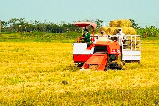 Ninh Bình đặt nền móng cho ngành thủy sản xanh – hiện đại – hội nhập Ninh Bình đặt nền móng cho ngành thủy sản xanh – hiện đại – hội nhập