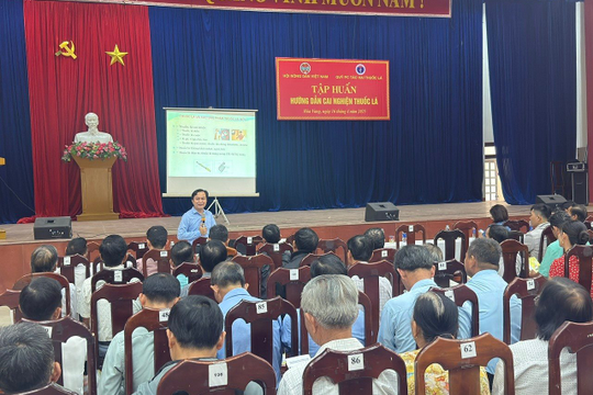 Đà Nẵng nâng cao kiến thức phòng, chống tác hại của thuốc lá cho người dân