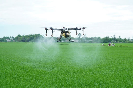 Sản xuất lúa chất lượng cao để phát triển kinh tế, gắn với bảo vệ môi trường