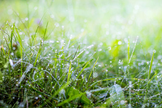 Suy ngẫm về lòng tốt: Hành động hay không hành động?