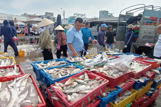 Bà Rịa-Vũng Tàu đa dạng hóa các mặt hàng thủy sản