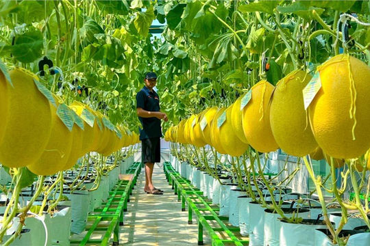 Chính sách tín dụng khuyến khích nông nghiệp hữu cơ, tuần hoàn