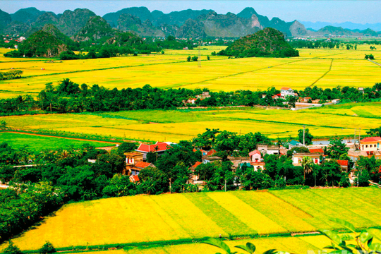 Nông thôn Ninh Bình trong giai đoạn mới