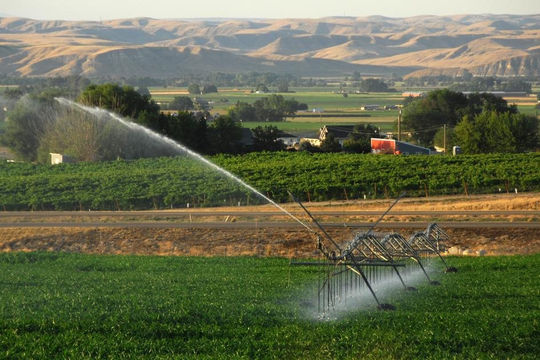 Hà Lan: Cần biện pháp hiệu quả để tiết kiệm nước