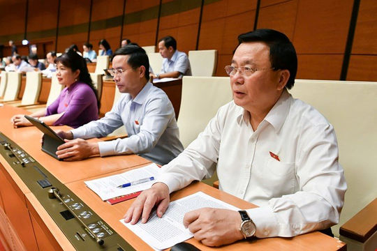 Chính phủ được ban hành nghị quyết để sửa luật