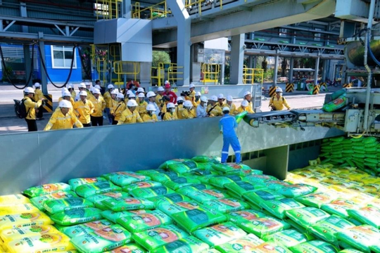  Doanh nghiệp phân bón ổn định giá dù nguyên liệu nhập khẩu tăng 