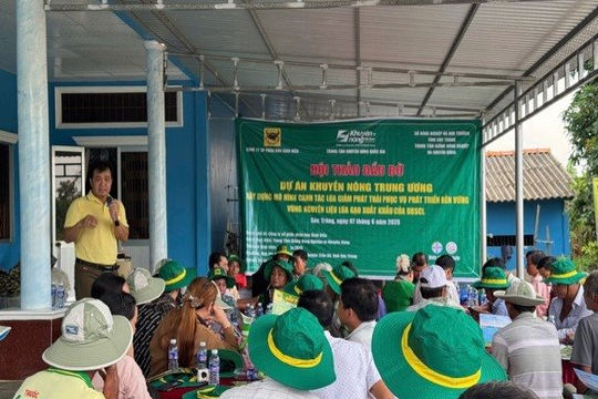 Phân bón Bình Điền thúc đẩy canh tác lúa bền vững tại Đồng bằng sông Cứu Long 