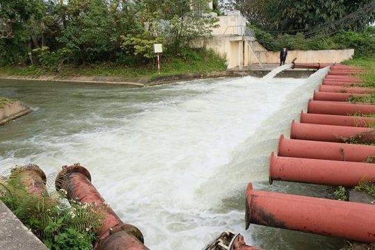 Đảm bảo an toàn cho các “lá chắn” nông nghiệp trước bão lũ