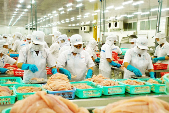 Doanh nghiệp thủy sản trông chờ chính sách đột phá để “vươn mình” 