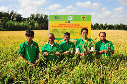 Phân bón Bình Điền tiên phong ứng dụng công nghệ sinh học theo tinh thần Nghị quyết 57 Phân bón Bình Điền tiên phong ứng dụng công nghệ sinh học theo tinh thần Nghị quyết 57