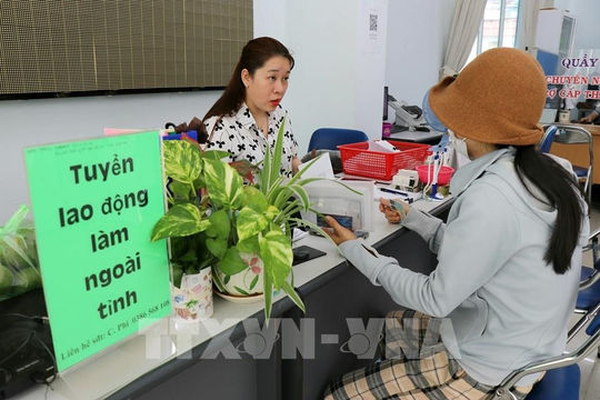 Ninh Thuận: Hơn 10.000 lao động được giải quyết việc làm trong 5 tháng đầu năm