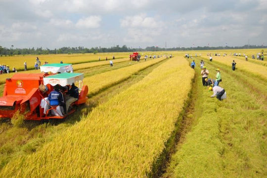 Hướng dẫn mới về thuế sử dụng đất nông nghiệp có hiệu lực từ 01/7