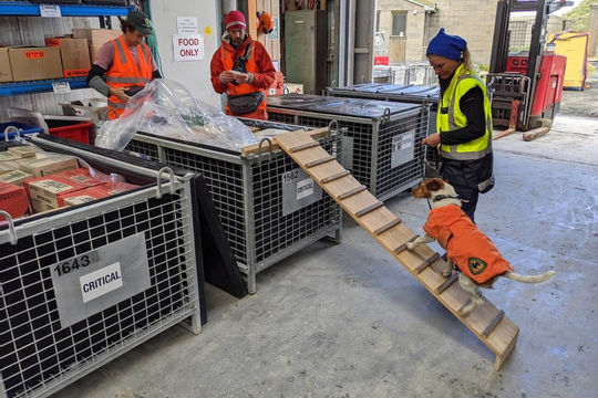 Australia: Đề cao các biện pháp đối phó với rủi ro an toàn sinh học Australia: Đề cao các biện pháp đối phó với rủi ro an toàn sinh học