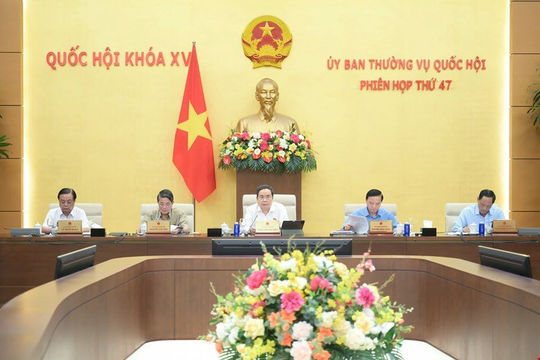 Dự kiến tổng số chi tổ chức và hoạt động bảo hiểm giai đoạn 2025-2027 là hơn 46 nghìn tỷ đồng