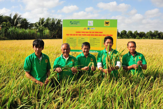 Thực trạng Can-xi đất lúa vùng ĐBSCL
từ kết quả chương trình “Canh Tác Lúa Thông Minh” 