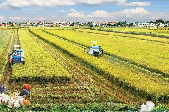 Gỡ rào cản, tạo “cú hích” phát triển kinh tế tuần hoàn trong nông nghiệp Gỡ rào cản, tạo “cú hích” phát triển kinh tế tuần hoàn trong nông nghiệp