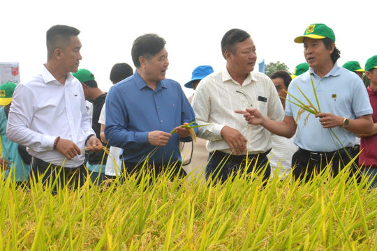 Phát triển kinh tế nông nghiệp gắn với bảo vệ môi trường  Phát triển kinh tế nông nghiệp gắn với bảo vệ môi trường