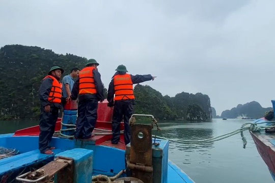 Ứng phó bão số 3, Bộ Quốc phòng huy động hơn 346.000 người, 5 máy bay  Ứng phó bão số 3, Bộ Quốc phòng huy động hơn 346.000 người, 5 máy bay
