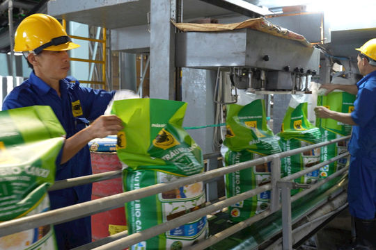 Hành trình đưa vi sinh vật vào Phân bón Đầu Trâu Bio-Canxi Hành trình đưa vi sinh vật vào Phân bón Đầu Trâu Bio-Canxi