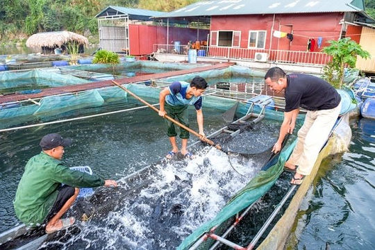 Tinh thần đồng lòng xây dựng nông thôn mới ở Tuyên Quang Tinh thần đồng lòng xây dựng nông thôn mới ở Tuyên Quang