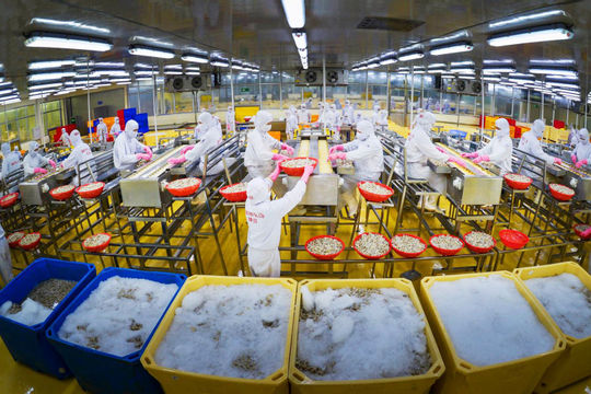 Cải cách thể chế doanh nghiệp: Tạo lập môi trường minh bạch, hiệu quả Cải cách thể chế doanh nghiệp: Tạo lập môi trường minh bạch, hiệu quả