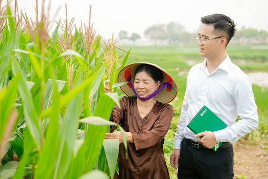 Hợp tác xã: Cầu nối đưa bảo hiểm nông nghiệp đến người dân Hợp tác xã: Cầu nối đưa bảo hiểm nông nghiệp đến người dân