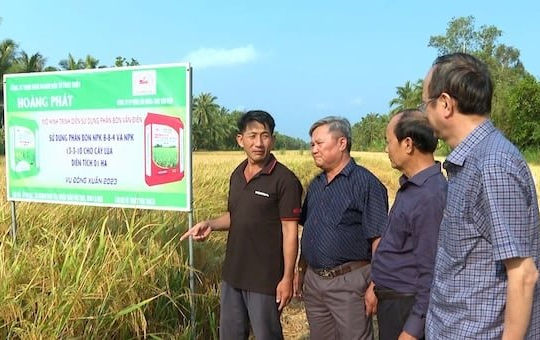 Phân bón Văn Điển: Đồng hành cùng nông nghiệp xanh, nâng tầm nông sản Việt Phân bón Văn Điển: Đồng hành cùng nông nghiệp xanh, nâng tầm nông sản Việt