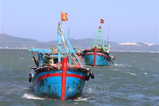 Cao điểm tuần tra, kiểm soát, xử lý các tàu cá "3 không"