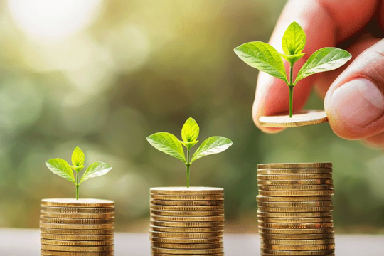 Hoạt động đầu tư từ các quỹ bảo hiểm Hoạt động đầu tư từ các quỹ bảo hiểm